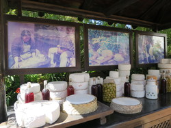  <a style='color: #fff;' href='/uploaded/photo/voyage-aux-canaries-fuerteventura-637b4298c6a59.jpg'>(Télécharger)</a>