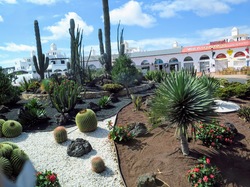  <a style='color: #fff;' href='/uploaded/photo/voyage-aux-canaries-fuerteventura-637b42995ed61.jpg'>(Télécharger)</a>