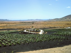  <a style='color: #fff;' href='/uploaded/photo/voyage-aux-canaries-fuerteventura-637b429a8fc6a.jpg'>(Télécharger)</a>