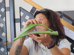  <a style='color: #fff;' href='/uploaded/photo/voyage-aux-canaries-fuerteventura-637b42a066029.jpg'>(Télécharger)</a>