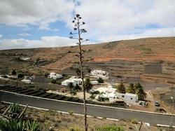  <a style='color: #fff;' href='/uploaded/photo/voyage-aux-canaries-fuerteventura-637b42accc69b.jpg'>(Télécharger)</a>