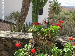  <a style='color: #fff;' href='/uploaded/photo/voyage-aux-canaries-fuerteventura-637b42bdd5e65.jpg'>(Télécharger)</a>