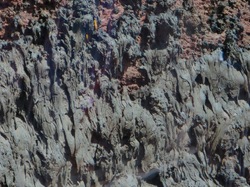  <a style='color: #fff;' href='/uploaded/photo/voyage-aux-canaries-fuerteventura-637b42c721698.jpg'>(Télécharger)</a>