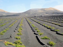  <a style='color: #fff;' href='/uploaded/photo/voyage-aux-canaries-fuerteventura-637b42c74e91f.jpg'>(Télécharger)</a>