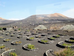  <a style='color: #fff;' href='/uploaded/photo/voyage-aux-canaries-fuerteventura-637b42c807c35.jpg'>(Télécharger)</a>