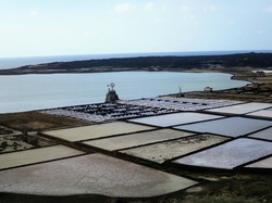  <a style='color: #fff;' href='/uploaded/photo/voyage-aux-canaries-fuerteventura-637b42ccdb425.jpg'>(Télécharger)</a>