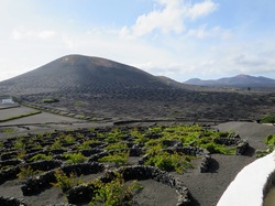  <a style='color: #fff;' href='/uploaded/photo/voyage-aux-canaries-fuerteventura-637b42d5b6b78.jpg'>(Télécharger)</a>