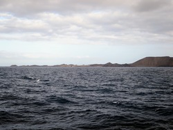  <a style='color: #fff;' href='/uploaded/photo/voyage-aux-canaries-fuerteventura-637b42d60650d.jpg'>(Télécharger)</a>