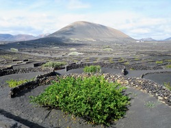  <a style='color: #fff;' href='/uploaded/photo/voyage-aux-canaries-fuerteventura-637b42dc4bb08.jpg'>(Télécharger)</a>