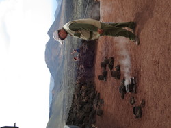  <a style='color: #fff;' href='/uploaded/photo/voyage-aux-canaries-fuerteventura-637b42dc85743.jpg'>(Télécharger)</a>