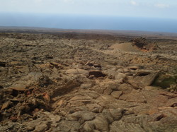  <a style='color: #fff;' href='/uploaded/photo/voyage-aux-canaries-fuerteventura-637b42e168801.jpg'>(Télécharger)</a>