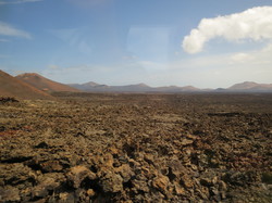  <a style='color: #fff;' href='/uploaded/photo/voyage-aux-canaries-fuerteventura-637b42e18835f.jpg'>(Télécharger)</a>