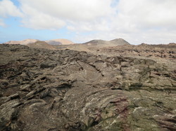  <a style='color: #fff;' href='/uploaded/photo/voyage-aux-canaries-fuerteventura-637b42e2c018d.jpg'>(Télécharger)</a>