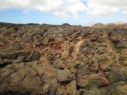  <a style='color: #fff;' href='/uploaded/photo/voyage-aux-canaries-fuerteventura-637b42e555fc8.jpg'>(Télécharger)</a>