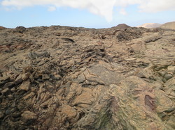  <a style='color: #fff;' href='/uploaded/photo/voyage-aux-canaries-fuerteventura-637b42e6c8719.jpg'>(Télécharger)</a>