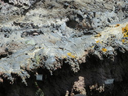  <a style='color: #fff;' href='/uploaded/photo/voyage-aux-canaries-fuerteventura-637b42eabbd1d.jpg'>(Télécharger)</a>