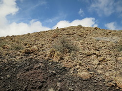  <a style='color: #fff;' href='/uploaded/photo/voyage-aux-canaries-fuerteventura-637b42eb354d1.jpg'>(Télécharger)</a>