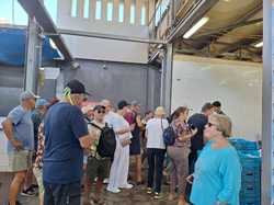  <a style='color: #fff;' href='/uploaded/photo/voyage-en-egypte-vu-par-nicole-68f1127f6822e.jpg'>(Télécharger)</a>