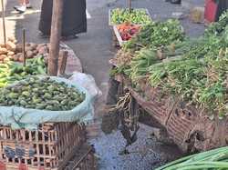  <a style='color: #fff;' href='/uploaded/photo/voyage-en-egypte-vu-par-nicole-68f112809ce36.jpg'>(Télécharger)</a>