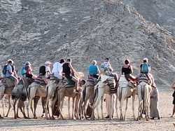  <a style='color: #fff;' href='/uploaded/photo/voyage-en-egypte-vu-par-nicole-68f11280d298d.jpg'>(Télécharger)</a>