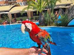  <a style='color: #fff;' href='/uploaded/photo/voyage-en-turquie-du-4-au-11-octobre-2024-vu-par-marie-france-671181b46fe2b.jpg'>(Télécharger)</a>