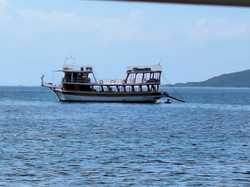  <a style='color: #fff;' href='/uploaded/photo/voyage-en-turquie-du-4-au-11-octobre-2024-vu-par-nicole-6711810300ca4.jpg'>(Télécharger)</a>